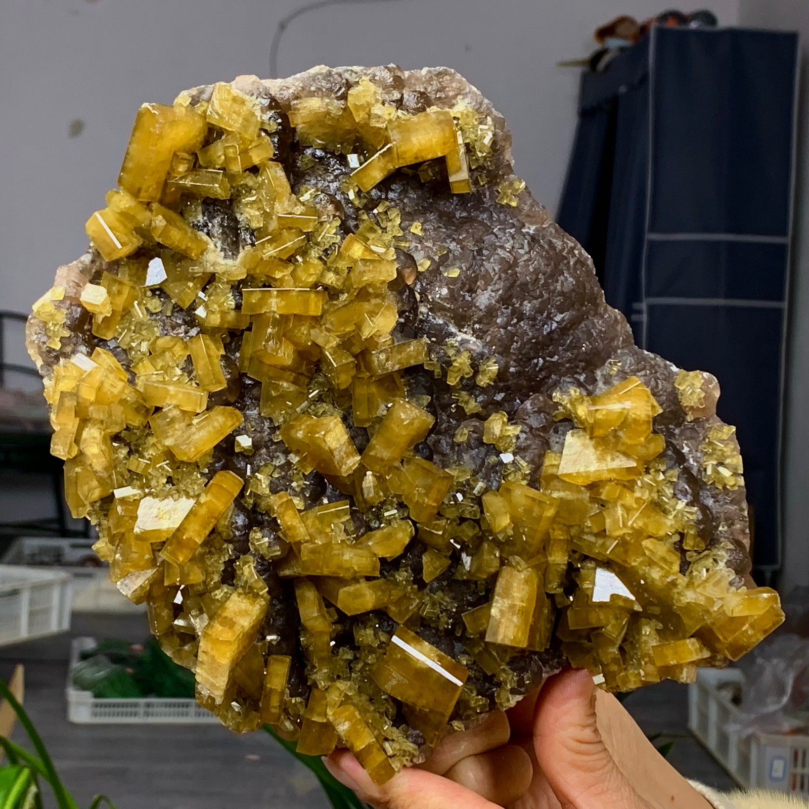 5.89LB Natural Beautiful Shiny Golden Barite Crystal Healing