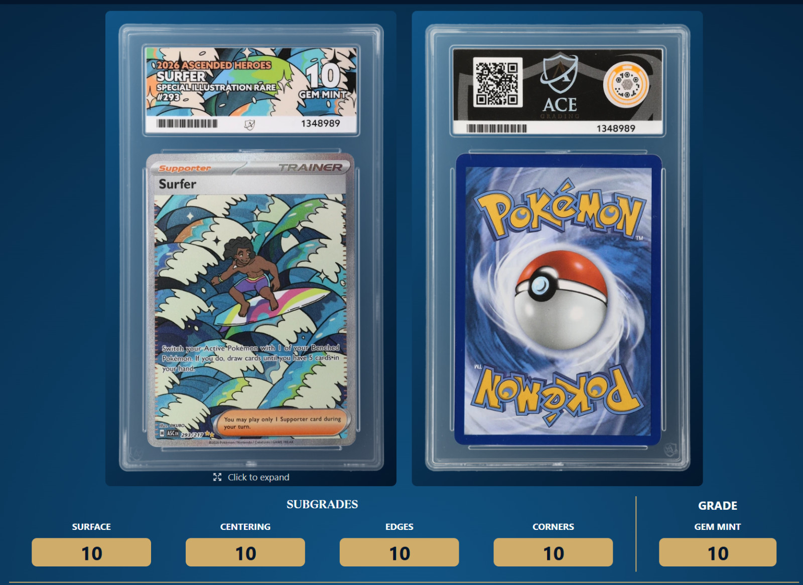 Pokemon TCG Surfer 293/217 Ascended Heroes SIR ACE 10 Perfect Sub grades