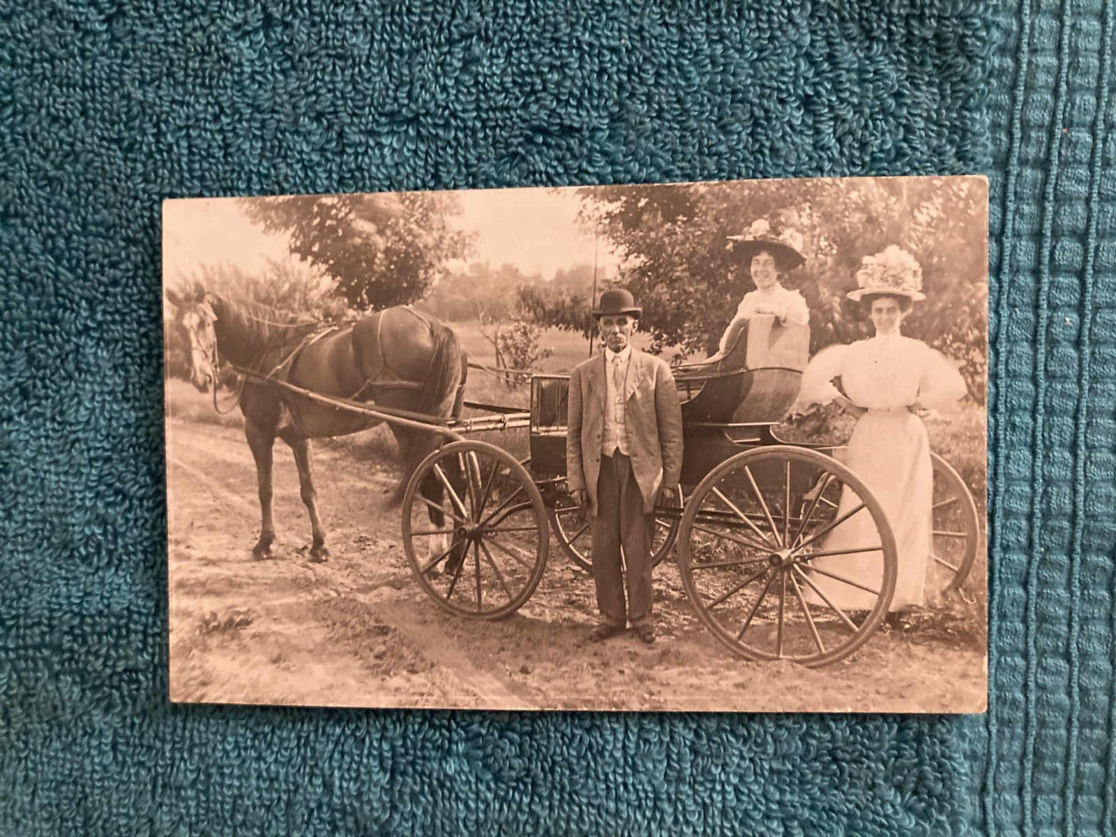 RPPC Millington Michigan Curious Horse Posted 1909 Essie Sims East Tawas Mi