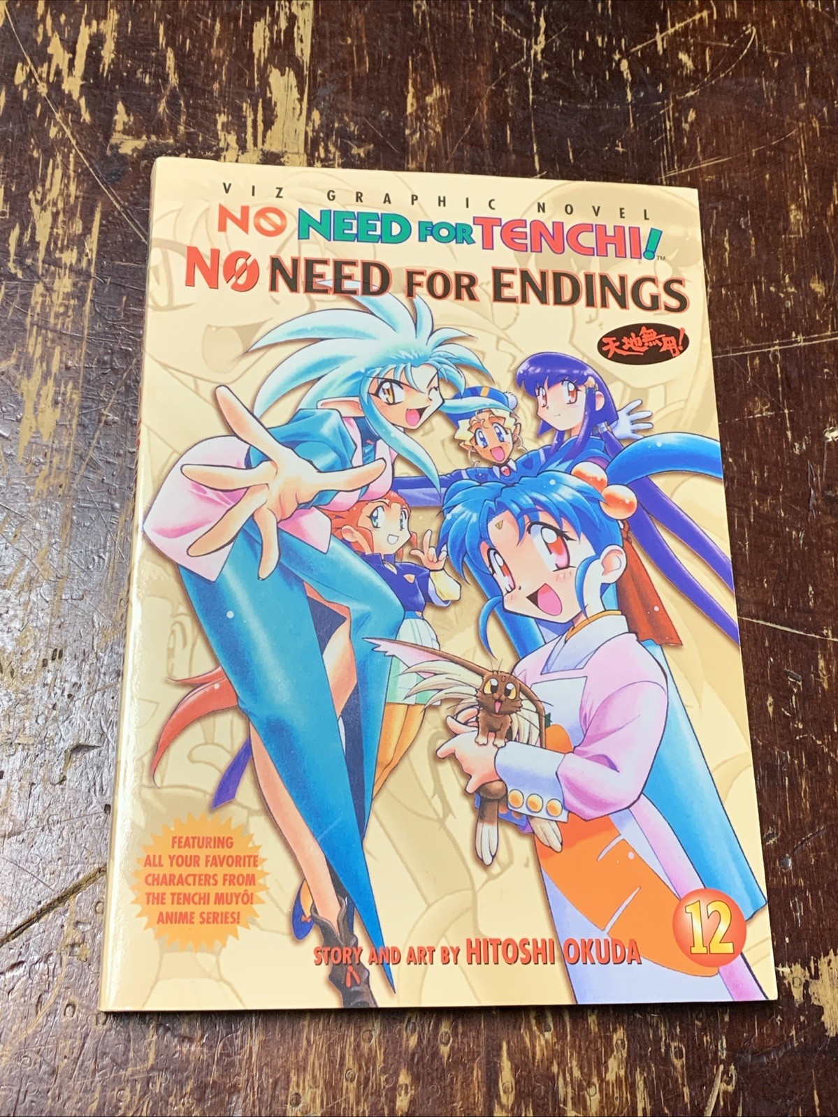 No Need For TENCHI No Need For Endings Volume 12 NOVEL Comic Book - Manga