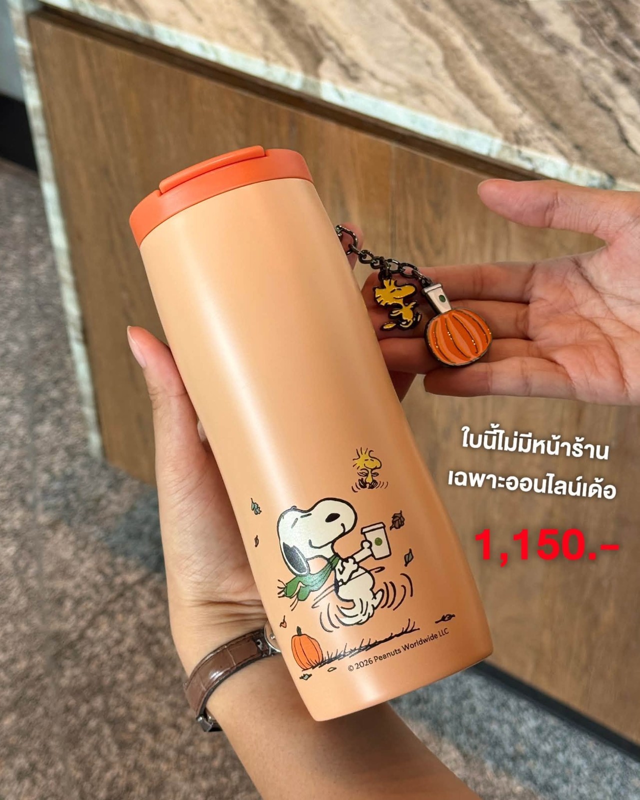 NEW Starbucks x PEANUTS Snoopy Fall Pumpkin Collection 2026  BrandNew 2026