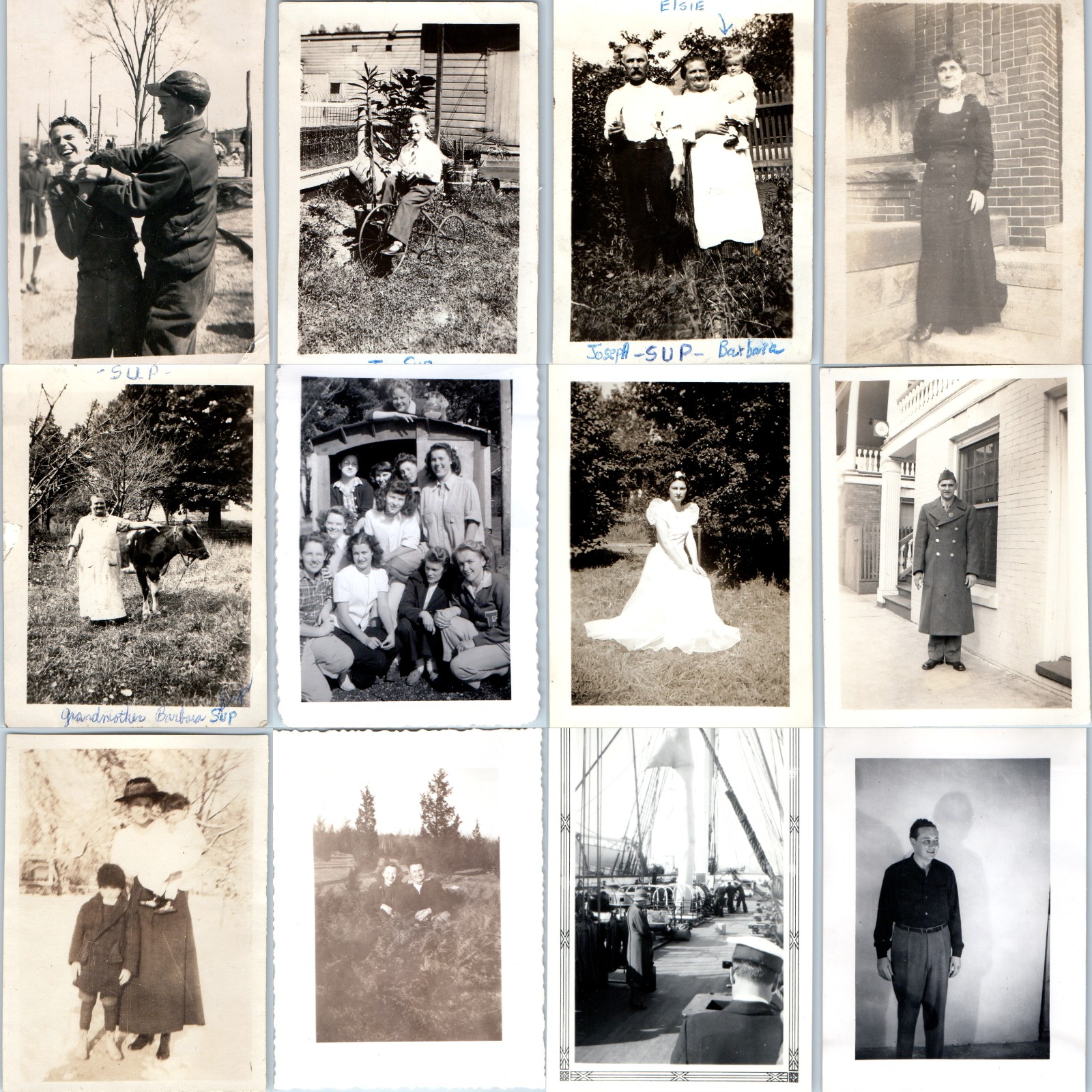 x12 LOT c1910s-1940s Sup Family Snapshot Photos Cow Military Navy Tricycle Bride