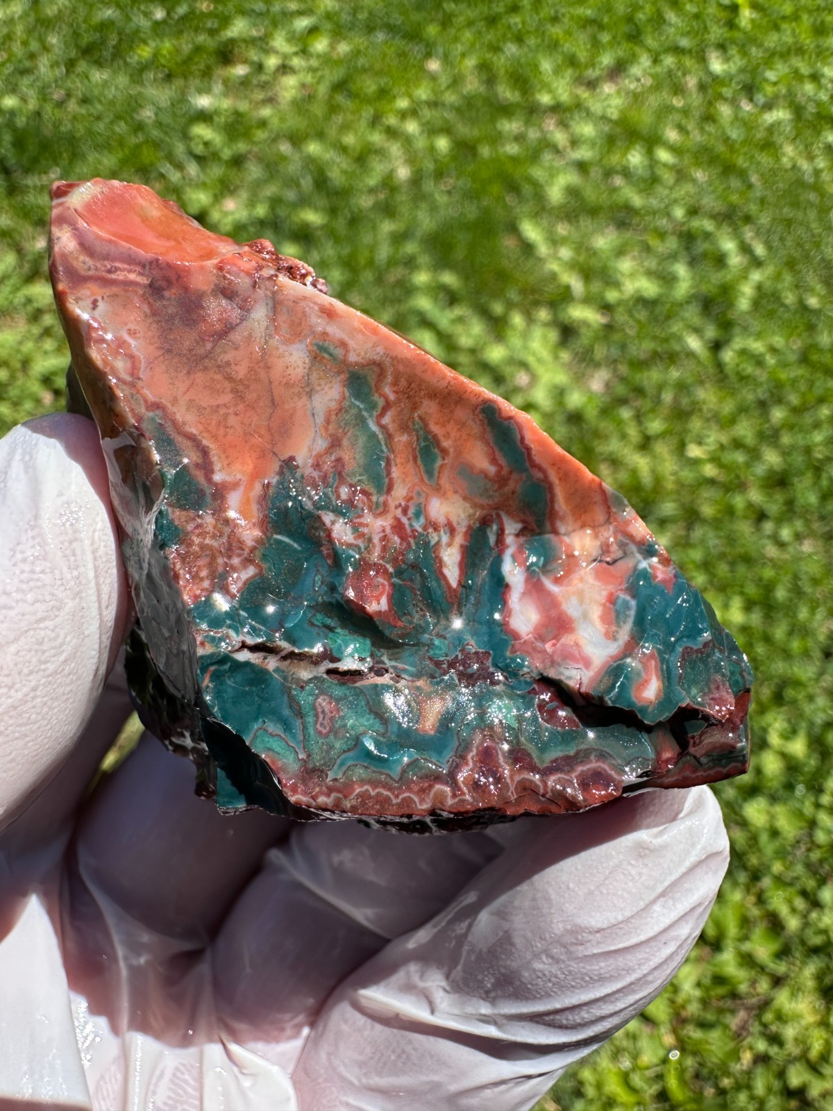 PREMIUM SPECIMEN__RARE Idaho Sunset Jasper / Agate Rough - Lemhi County, Idaho