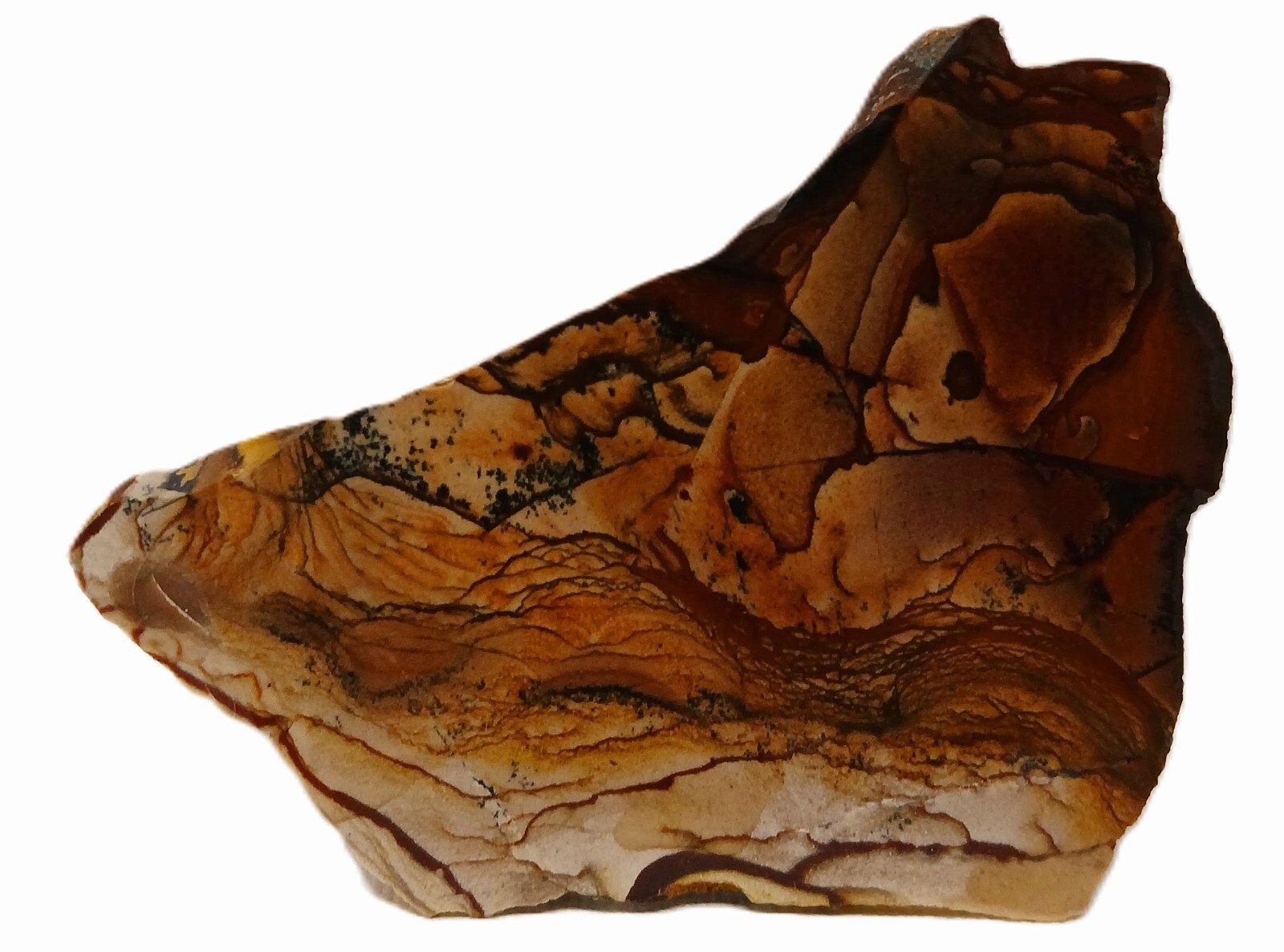 Deschutes Picture Jasper 31gm Scenic Lapidary Slab
