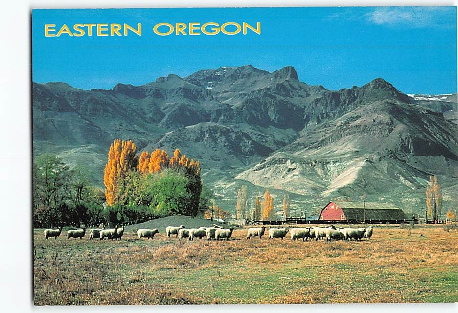Postcard Ranch Scene in Steens Mountain Area Eastern Oregon USA