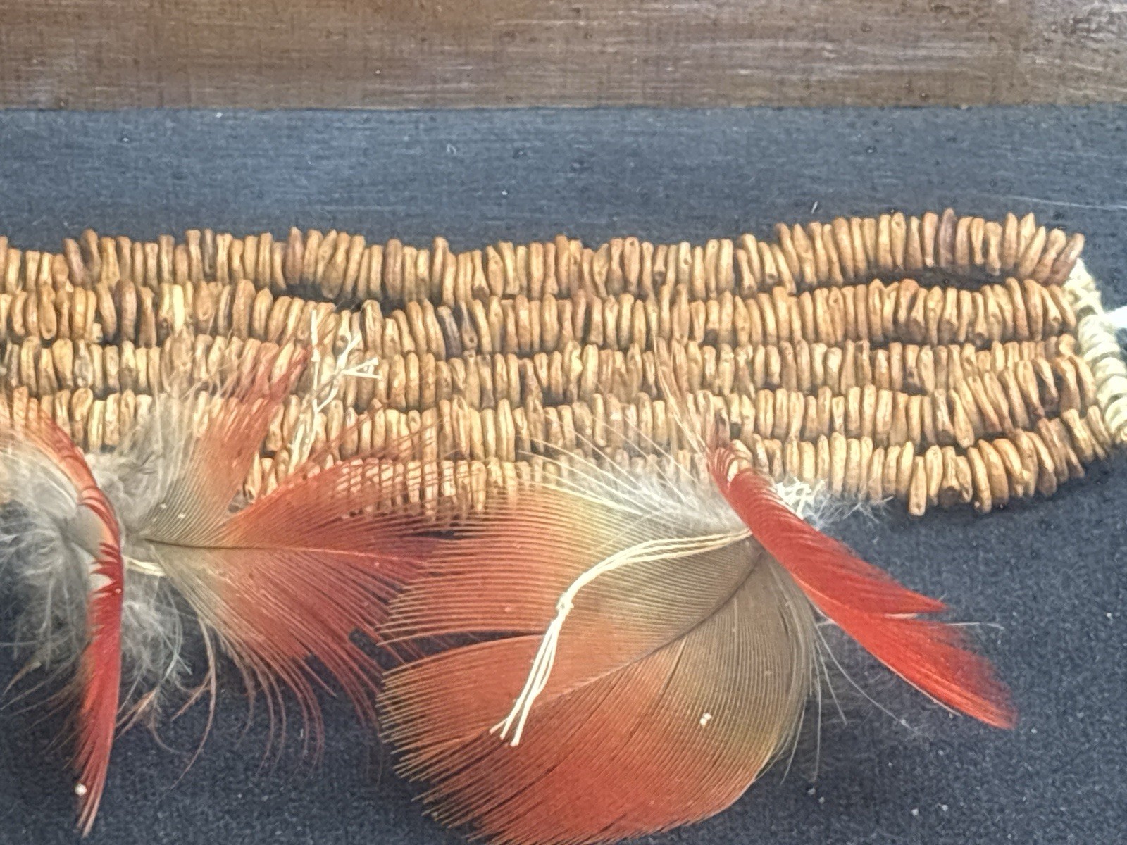 Amazon Brazilian Indigenous Seed Necklaces Feather Jewelry Framed Shadow Box