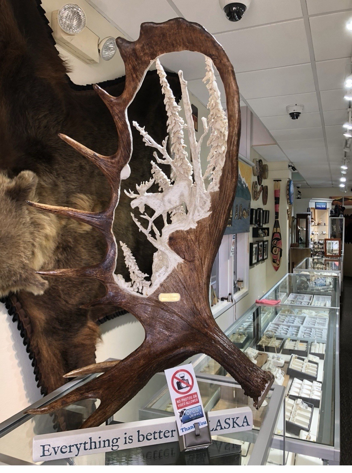 Hand Carved Elk Horn Moose in woods Scene