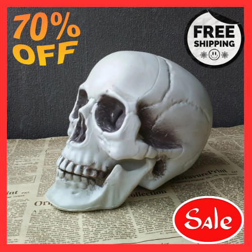 Halloween Skull Decoration,Realistic Plastic Skull,Head Skeleton,Halloween Party