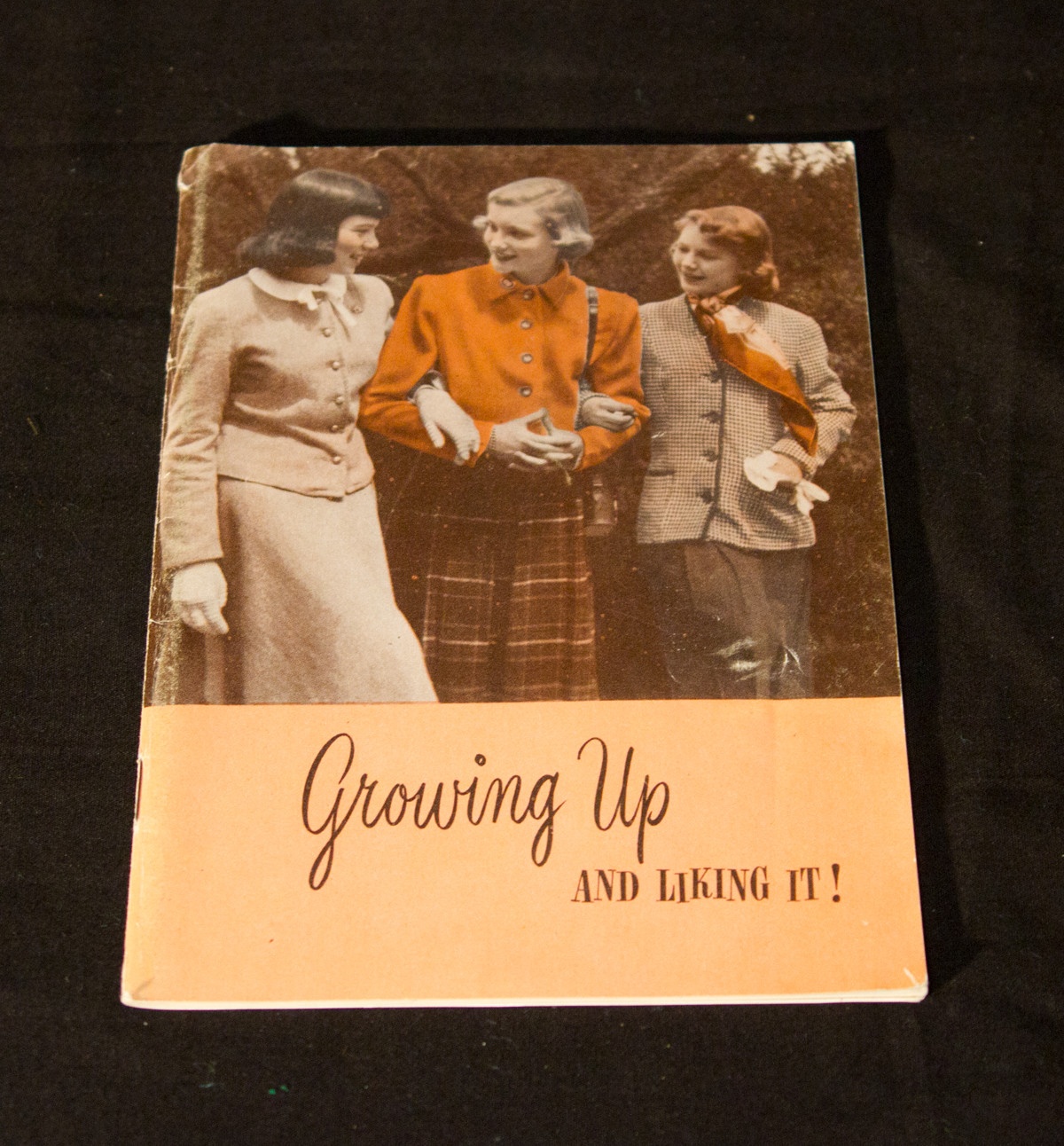 Retro 1950s Growing Up And Liking It Booklet Teen Girls Mid Century Advice Book