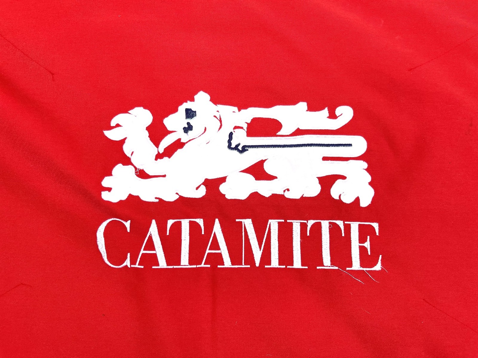 Polo Team Flag, Collector's Item, From IPC Wellington, FL - Team Catamite