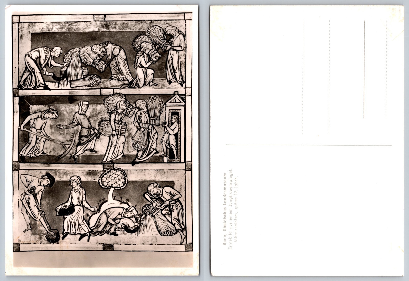 Continental Medieval Artwork Postcard