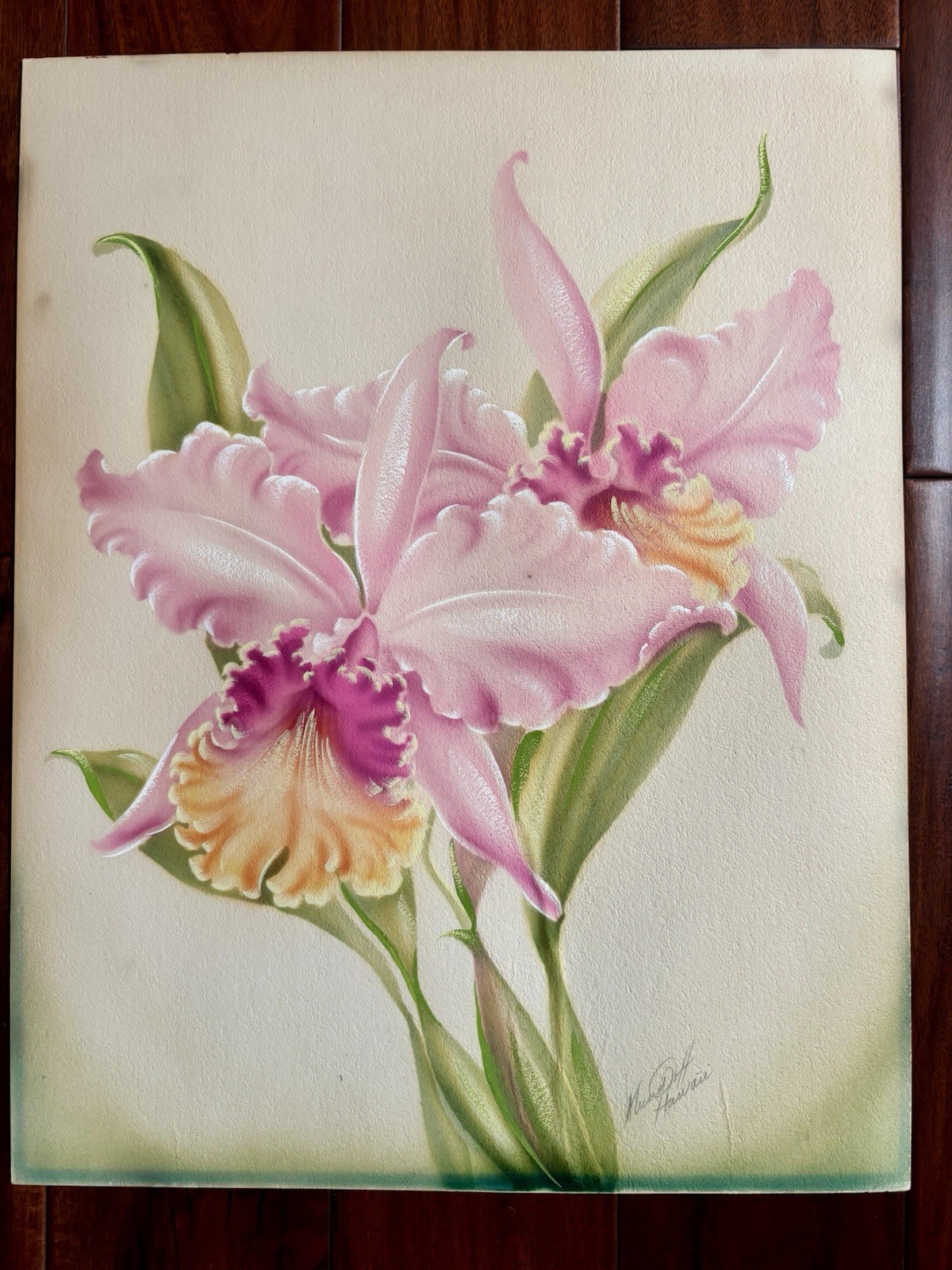 VTG Original Airbrush Painting Hawaii Orchid Pencil Signed Mundorff  15” x 19”