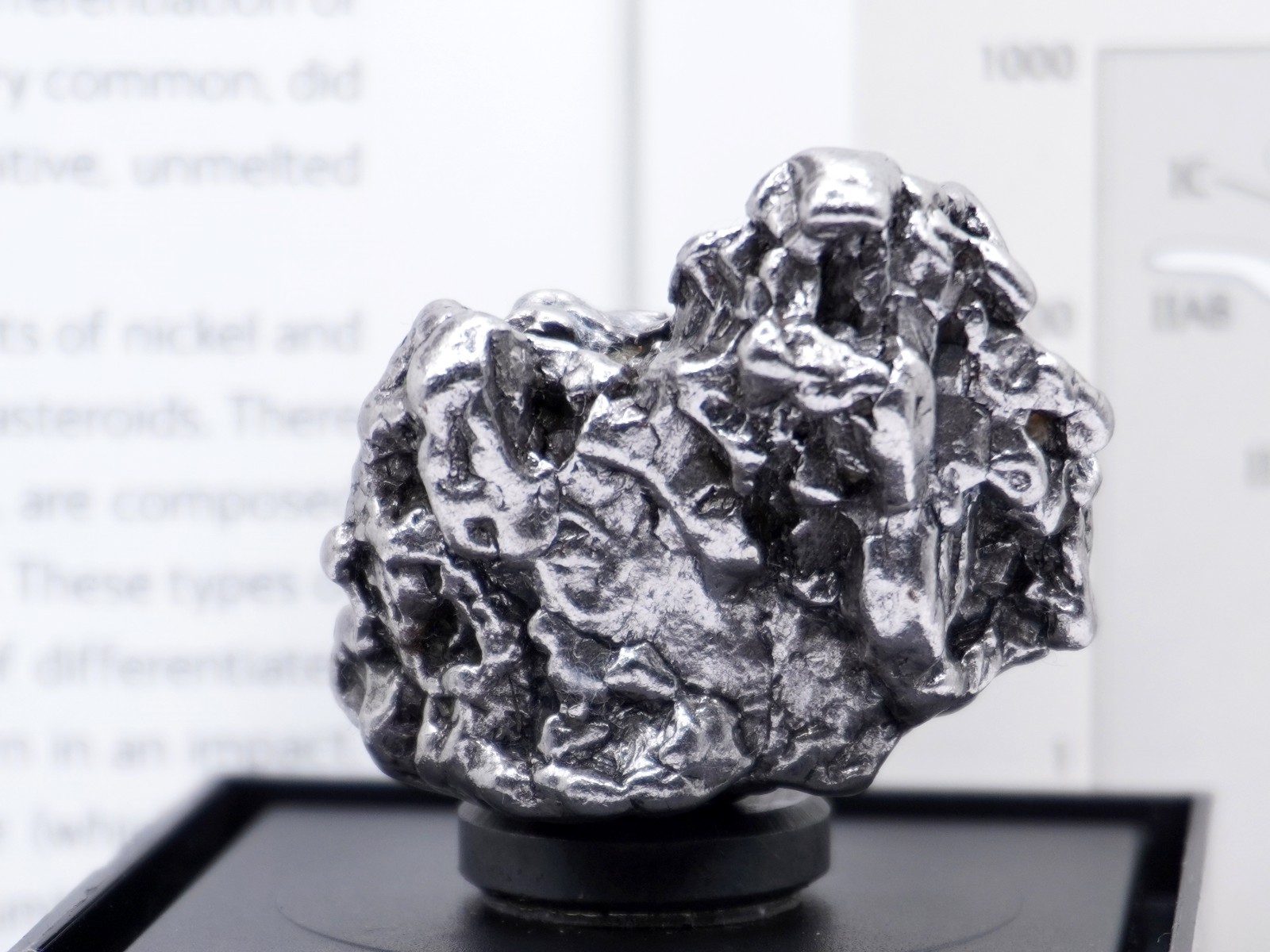 Authentic Campo del Cielo Meteorite | Certified Iron Space Rock from Argentina 