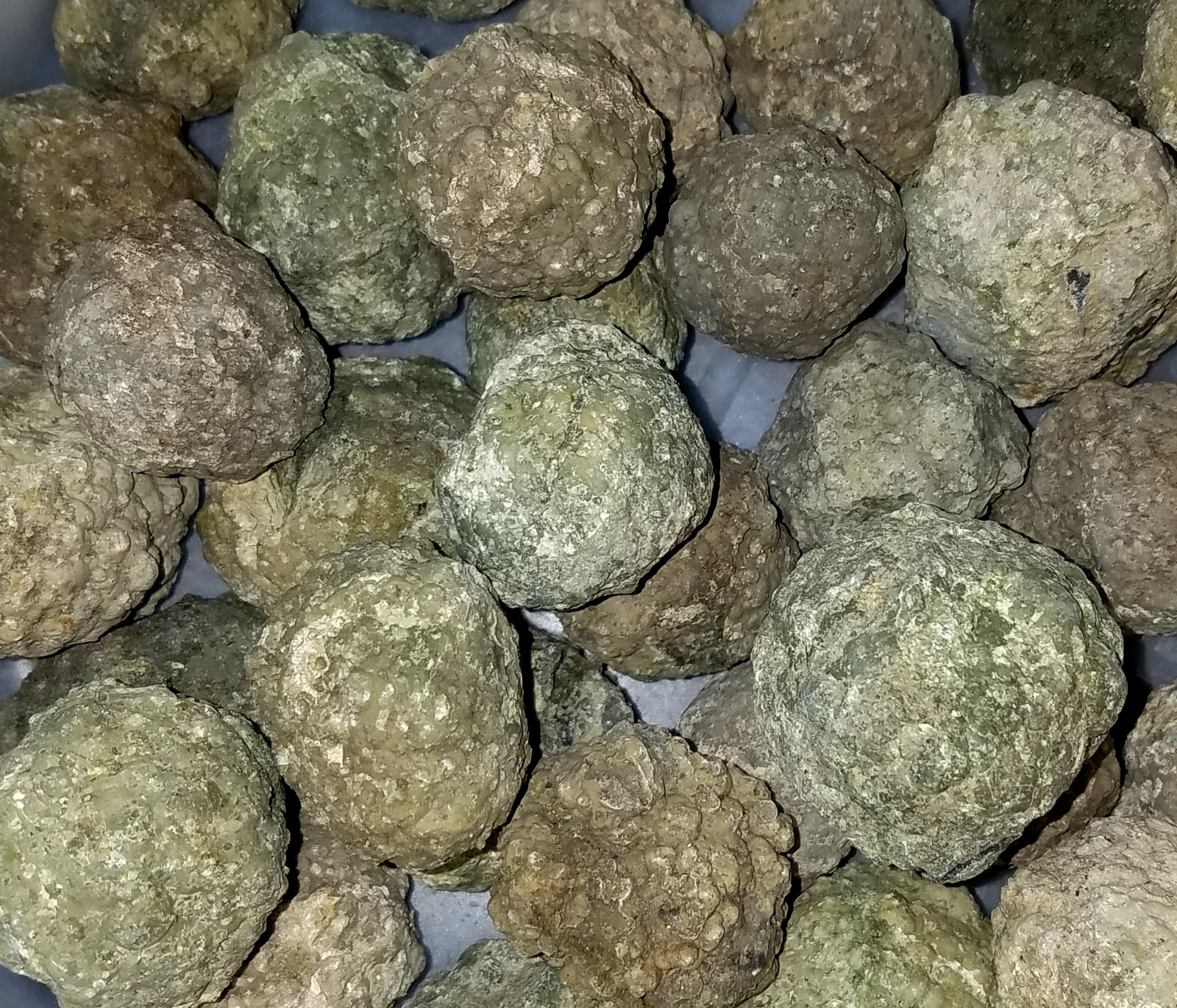 (1-LB LOT)=(14 to 20 Uncut Rough Oregon Thundereggs) Lapidary Agate Rocks Geode