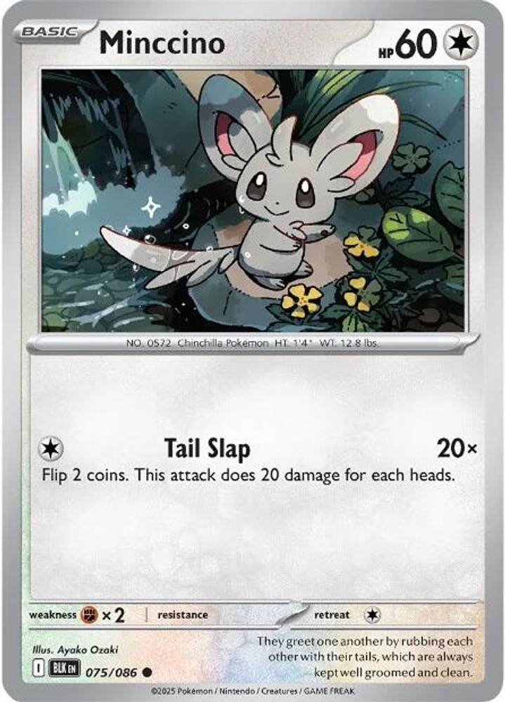 Minccino BLK 075/086 C NM
