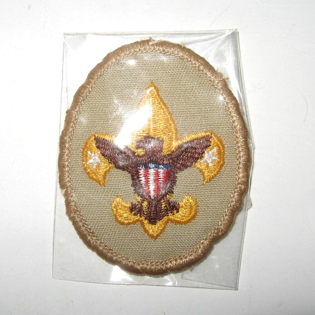 VTG Boy Scouts BSA Tenderfoot Badge Gold Fleur-de-Lis with Eagle 2 1/2\