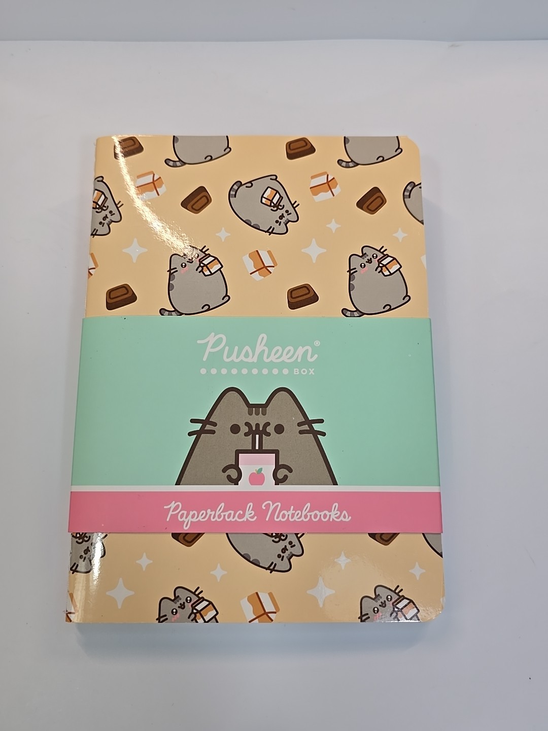 Pusheen Paperback Notebooks Set/2  2023 Spring Box Exclusive Cat