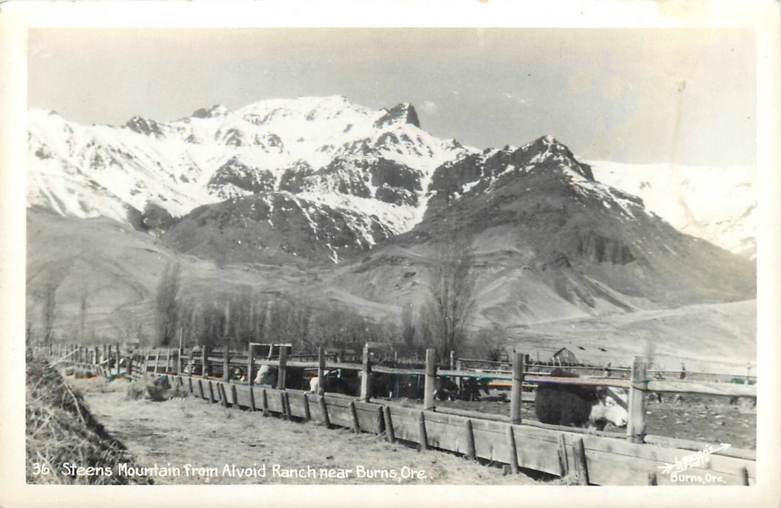 Steens Mountain Alvord Ranch Burns Oregon RPPC Vintage Postcard 1940s
