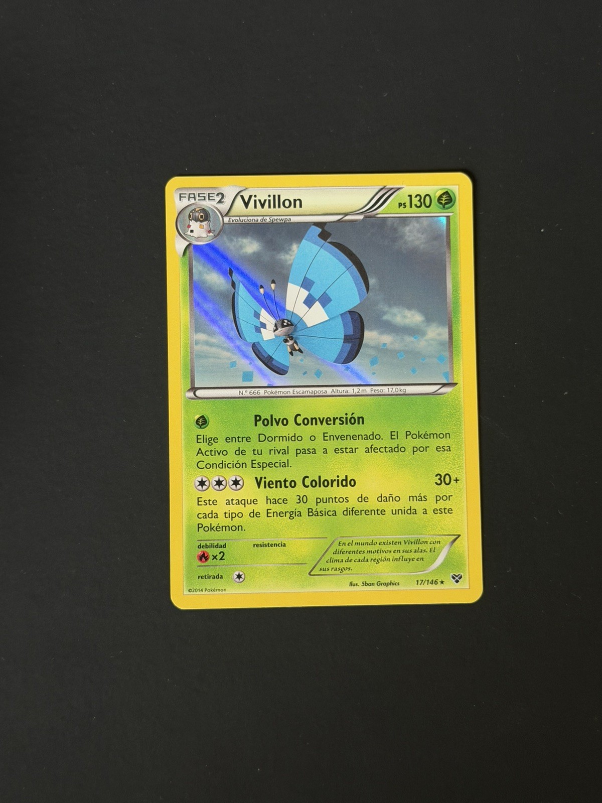 Pokemon Card Vivillon XY Holo Spa SPANISH 17/146 Blue Wings Rare
