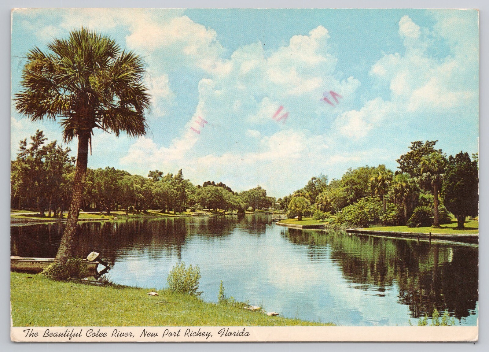 Postcard THE BEAUTIFUL COTEE RIVER IN THE HEART OF NEW PORT RICHEY, FLORIDA