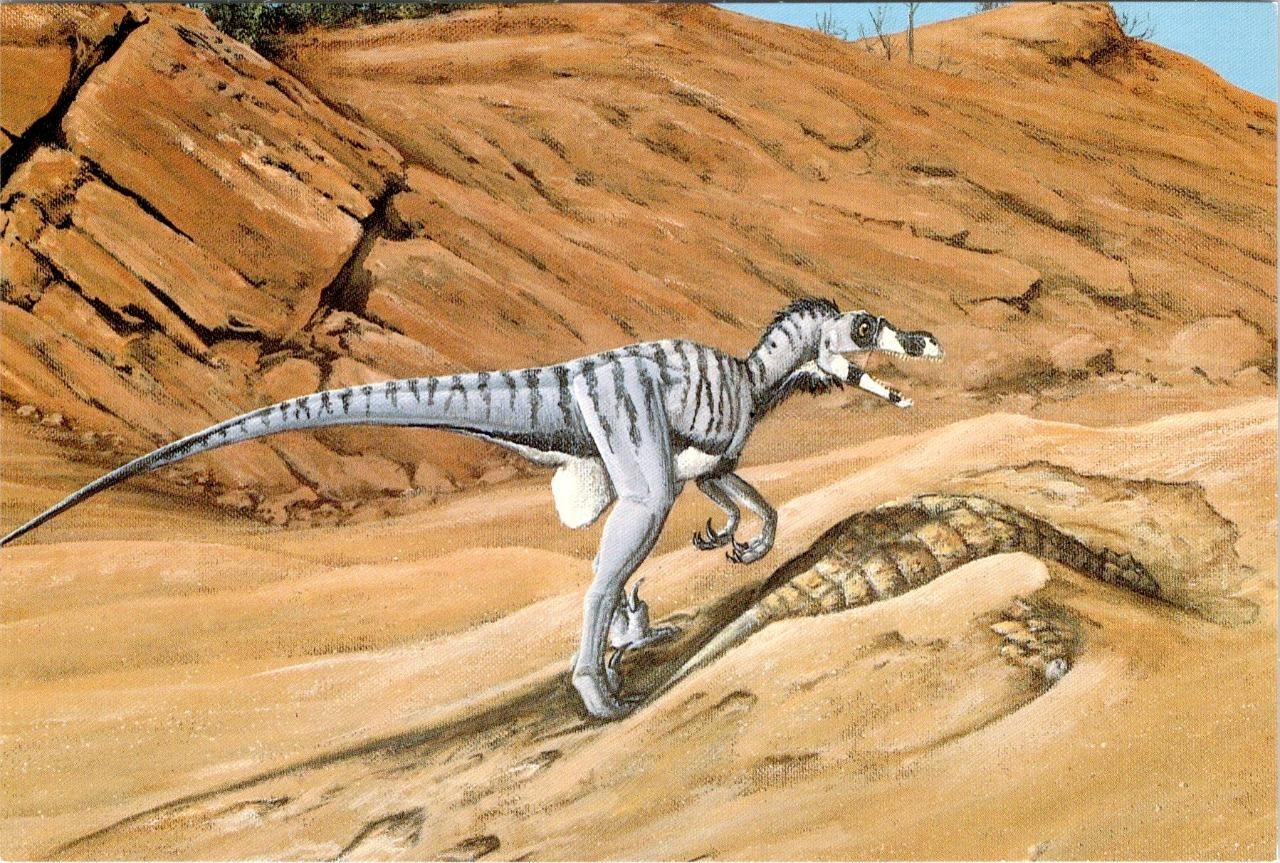 Dinosaur Art VELOCIRAPTOR MONGOLIENSIS Paleo Artist Brian Franczak 4X6 Postcard