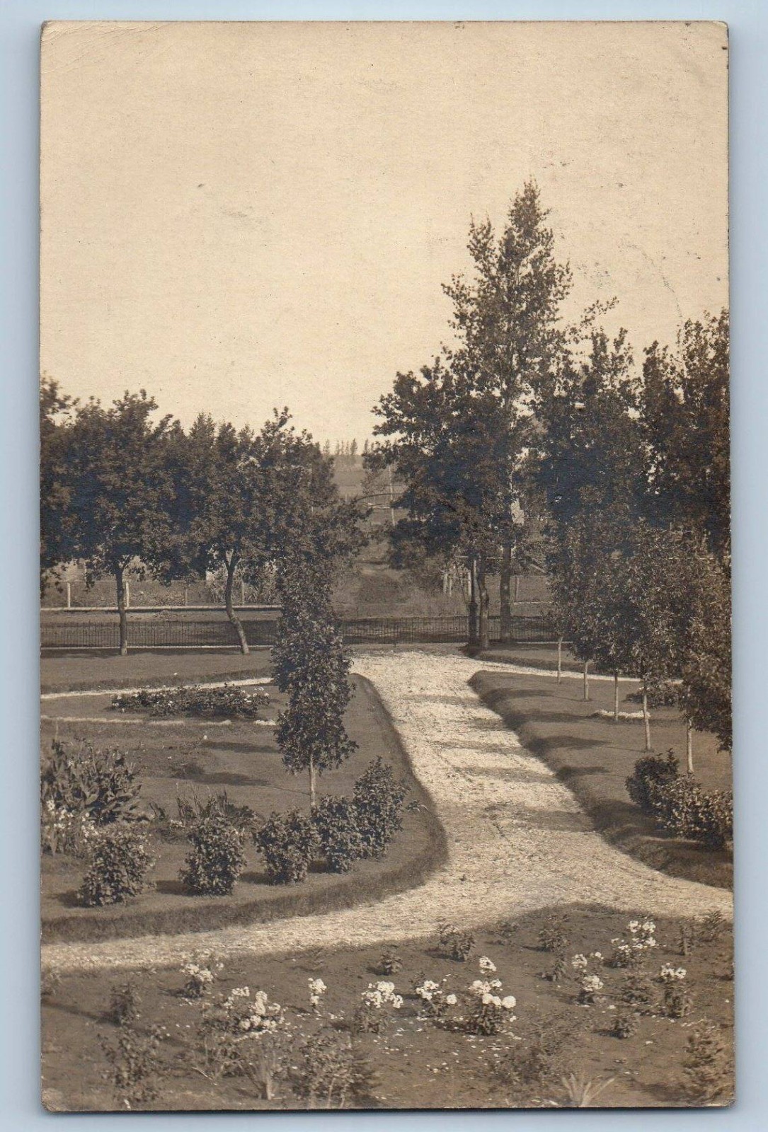 c1910\'s View Of Garden Trees Gilby North Dakota ND RPPC Photo Antique Postcard