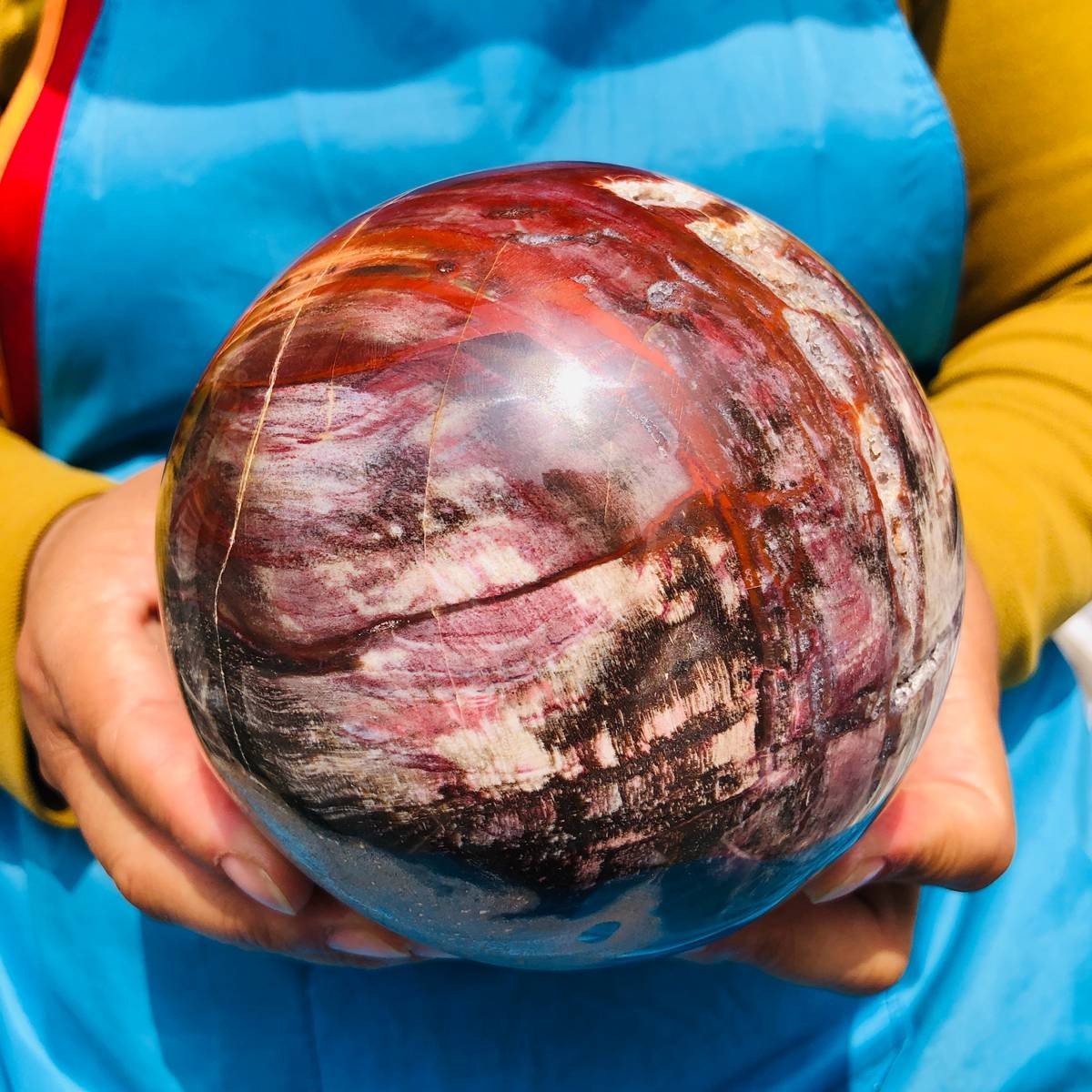 5.06LB Natural wood fossil ball healing comes Healing from Madagascar