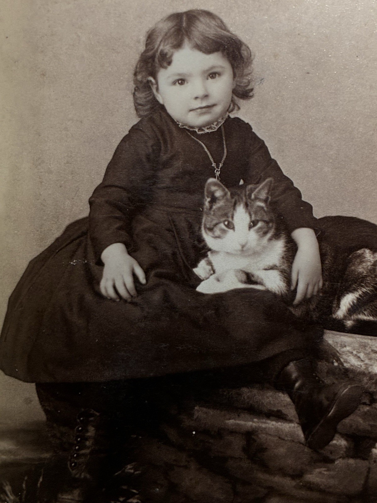 Gorgous 1870s1880s Image Little Girl And Her Cat Adorable Cabinet Card