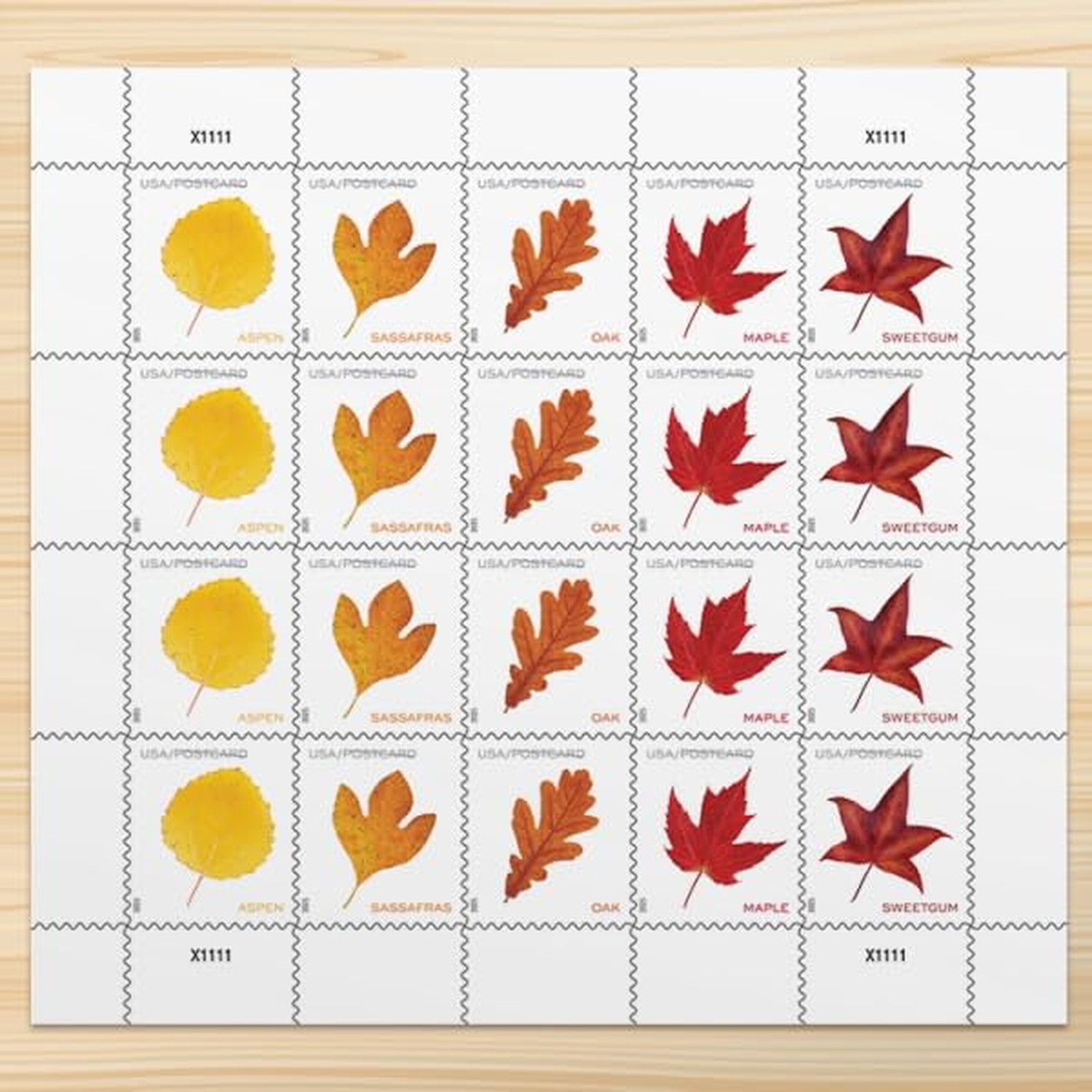 Vibrant Leaves 2025 Postcard Rate (5 Sheets of 20) Non-denominated Mail-Use P...
