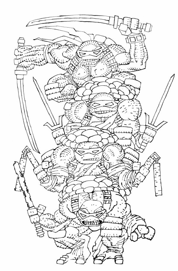 TEENAGE NINJA TURTLES #20 - FRANK MILLER 1:300  BLACK & WHITE VIRGIN VARIANT