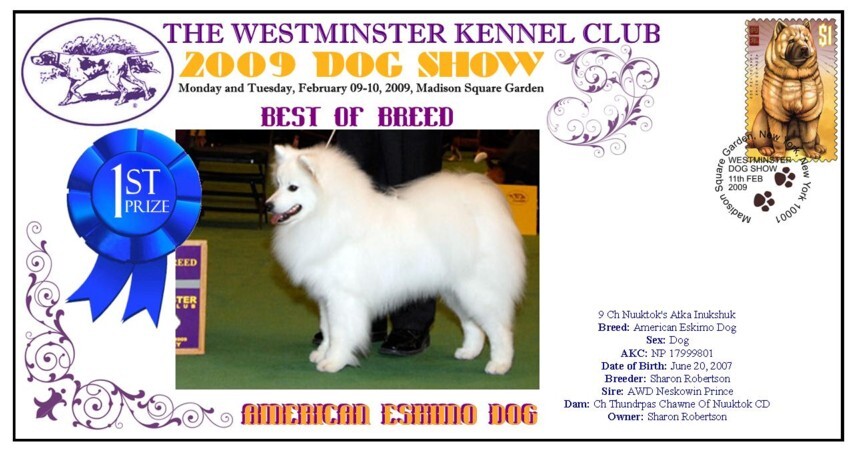 American Eskimo Dog Westminster Kennel Club 09 Bob Cov