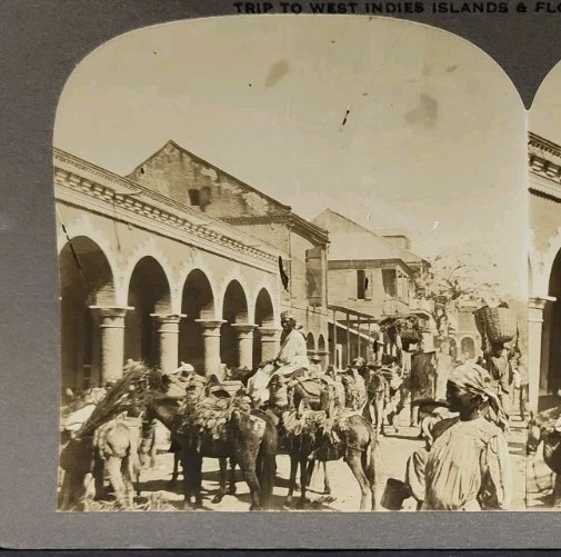 Private Stereoview Photo 1911 Haiti Port Au Prince People Street Scene Vtg #85