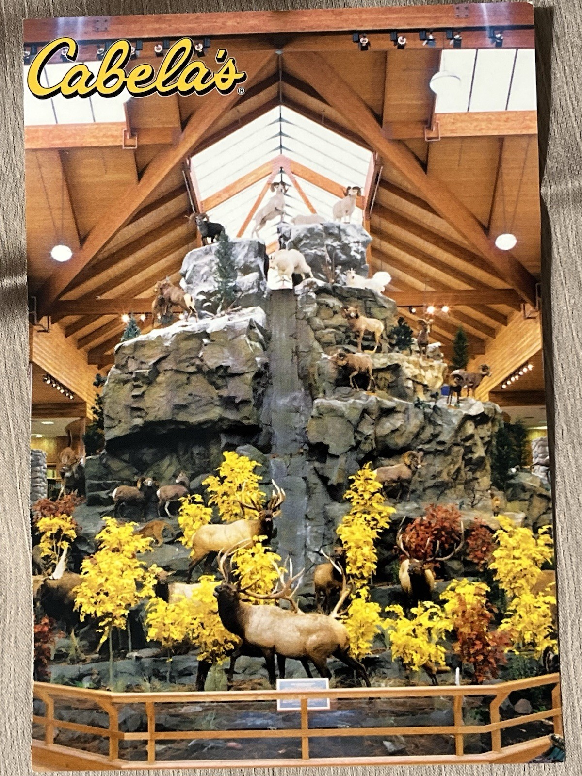 Postcard Cabela's Conservation Mountain Dundee Michigan USA