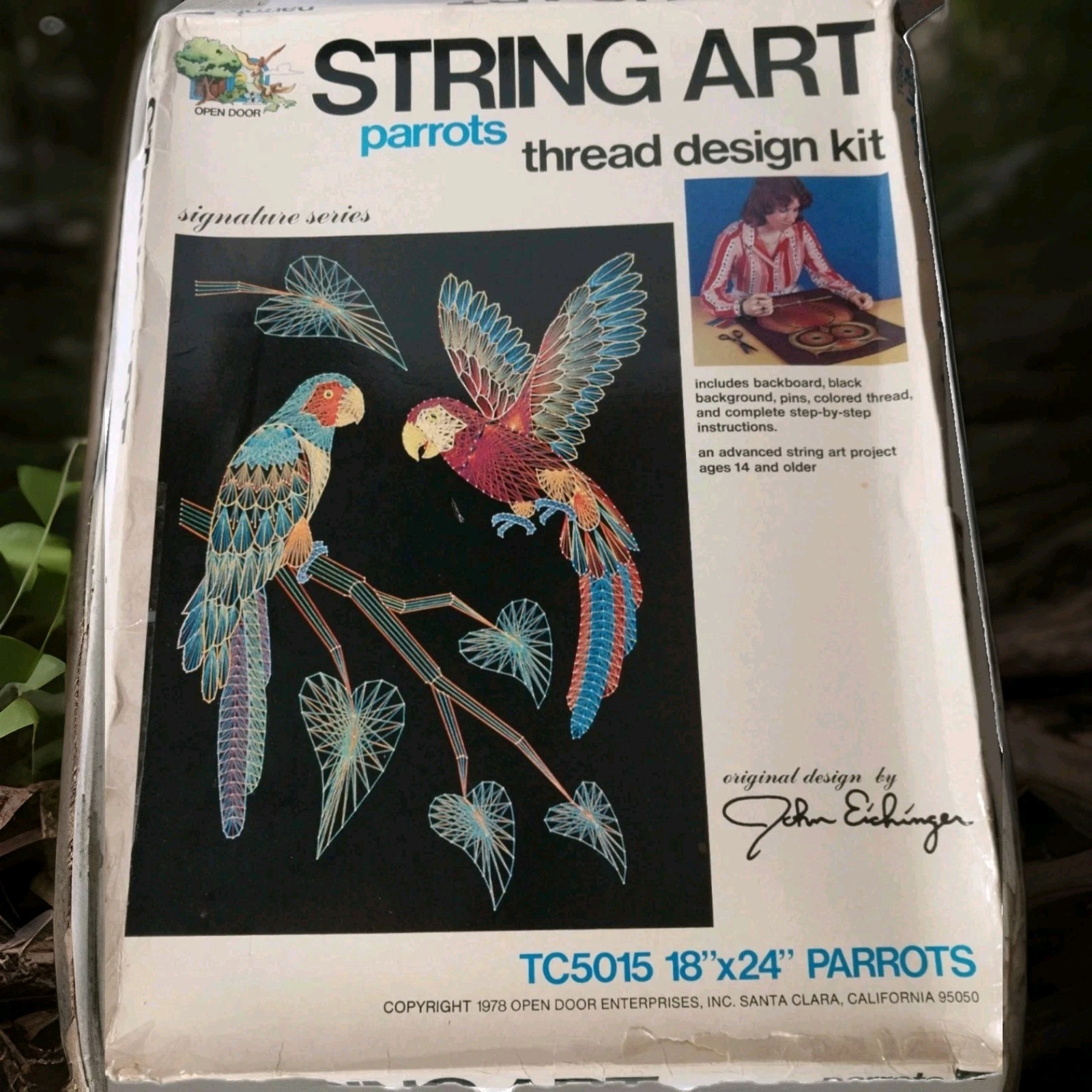 NOS 1978 String Art Kit 18 x 24 2 Parrots Rare Complete