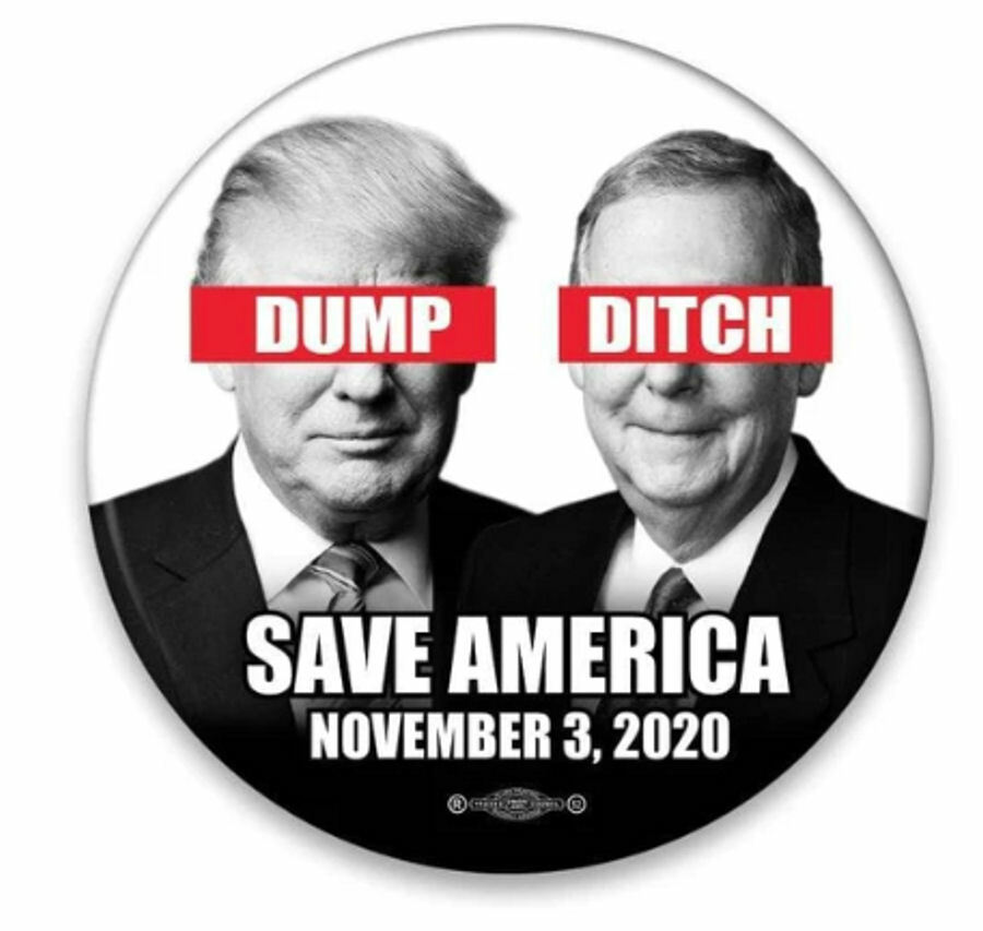 Dump Donald Trump Ditch Mitch Mcconnell Nov 3 Button Pin Anti Trump