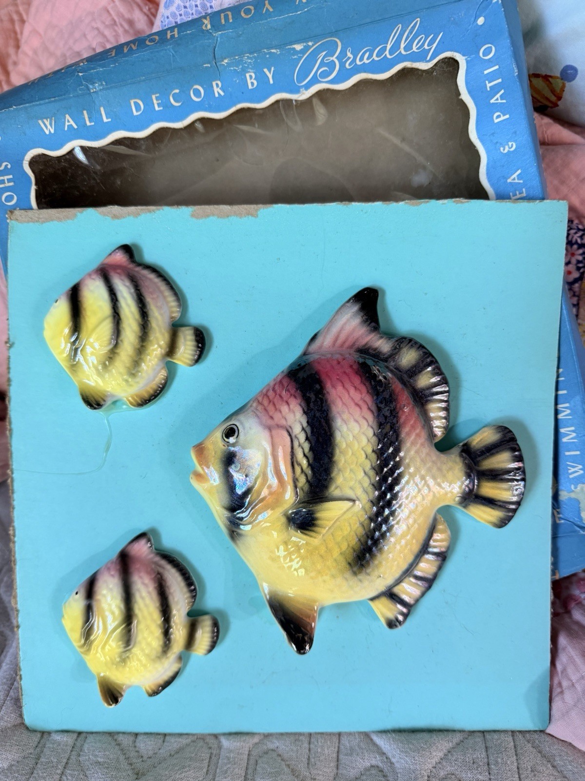 Vintage BRADLEY Fish Wall Plaques In ORIGINAL BOX  🌊 1950’s 1960’s