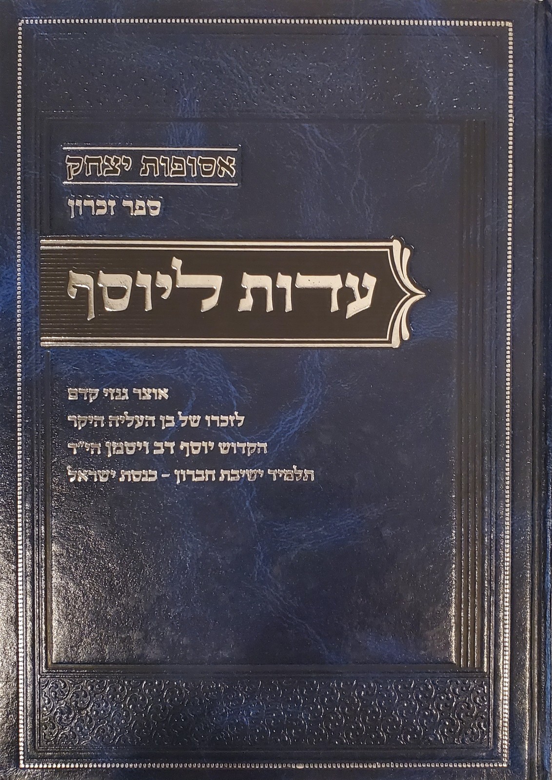 עדות ליוסף Eidus LeYosef Hebrew Sefer Rare Torah Material Hutner Feinstein