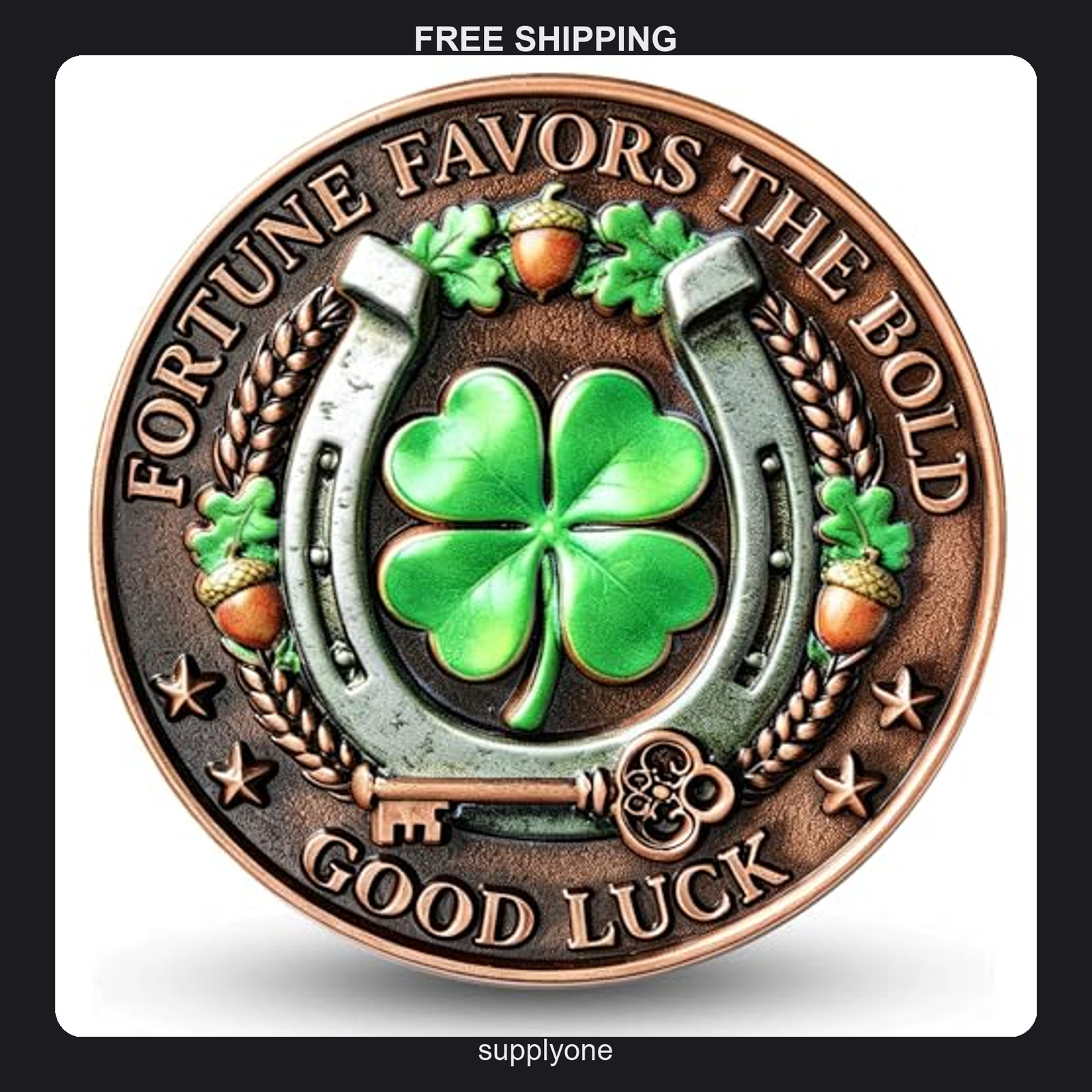 Fortune Favors the Bold Lucky Coin Enamel Copper Tone 1.57\