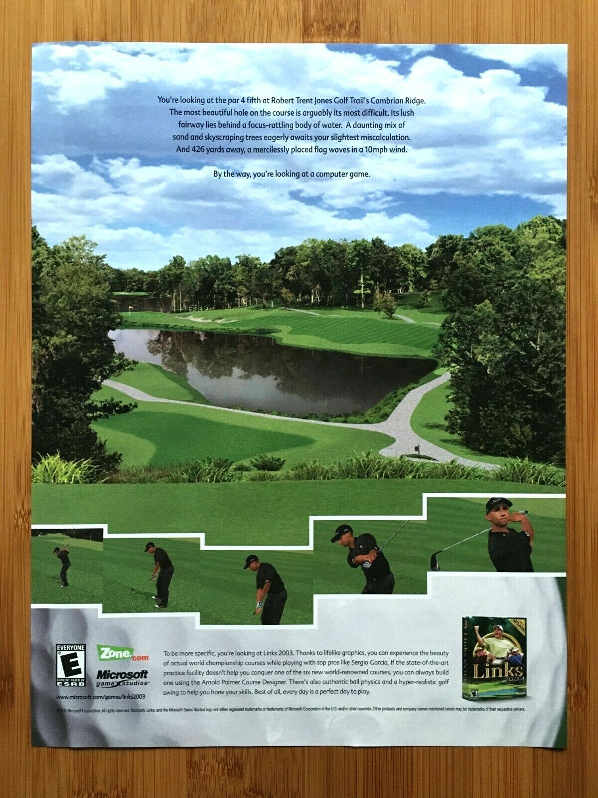 Microsoft Links 2003 PC Vintage Print Ad/Poster Golf Video Game Man Cave Art