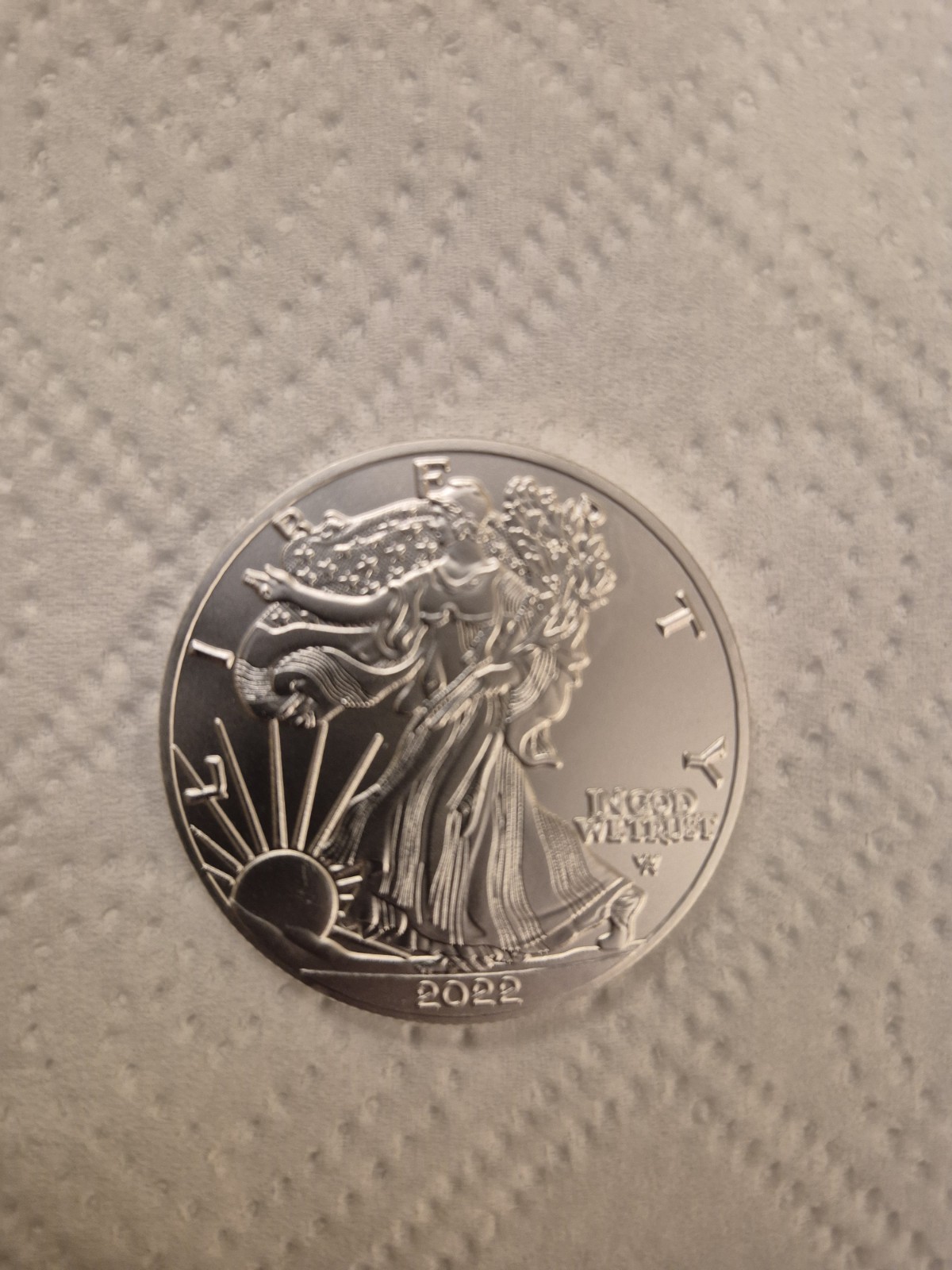 2022 Walking Liberty/Eagle Coin.  Silver Plated Rounds.