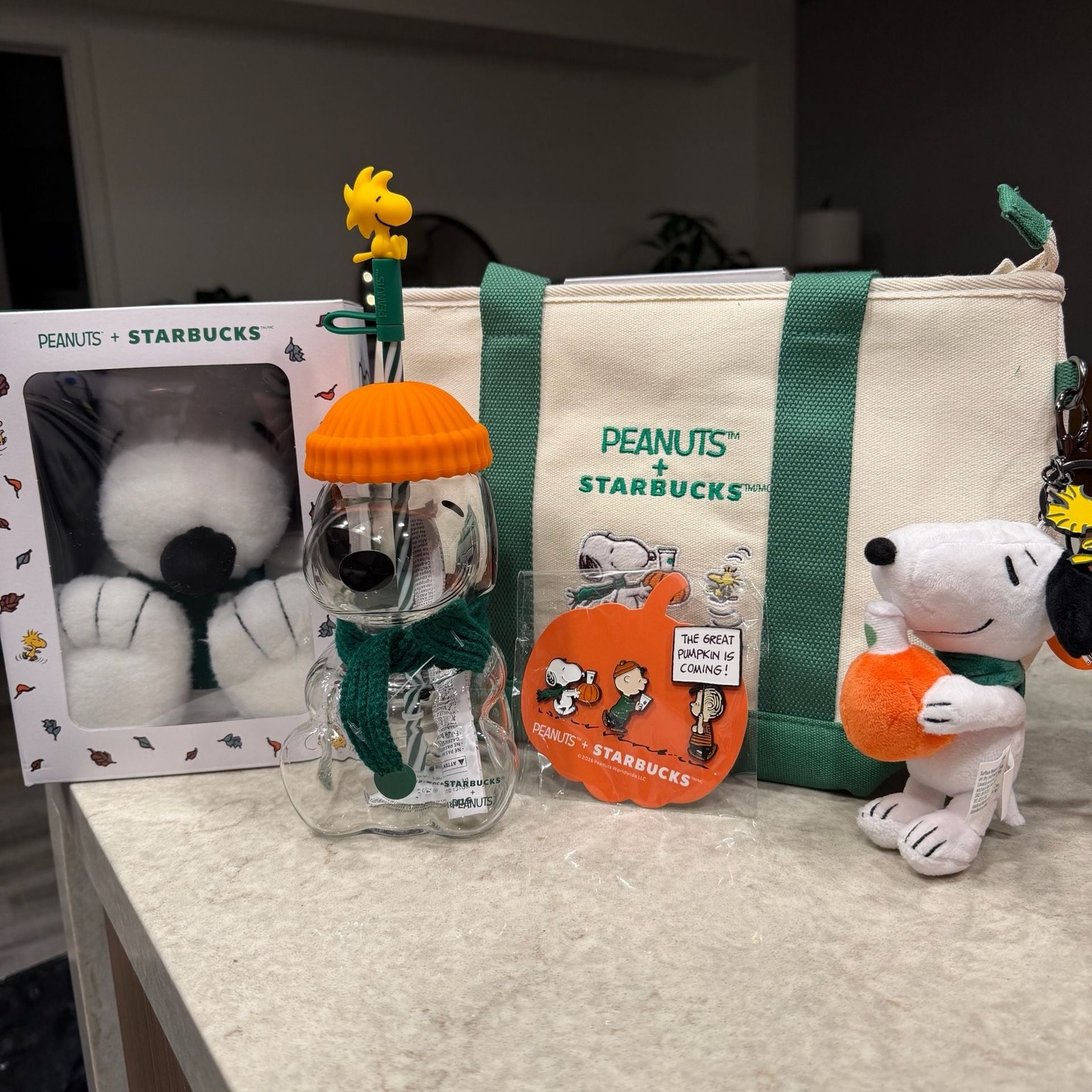 Starbucks x Peanuts Limited Edition The Great Pumpkin Collection US SELLER