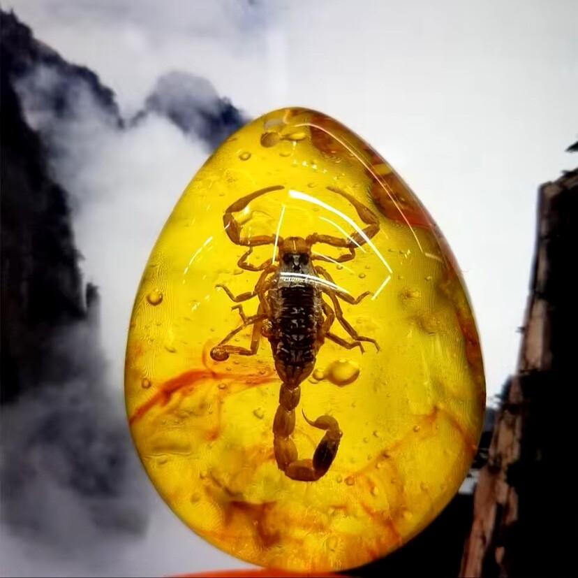 Scorpion Polybern (Amber) Variety with Inclusion Scorpion 250 Million BC