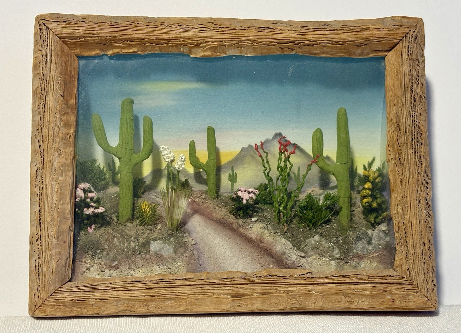 Miniature Desert CACTUS HANGING DIORAMA - Landscape View Co TUSCON, Arizona