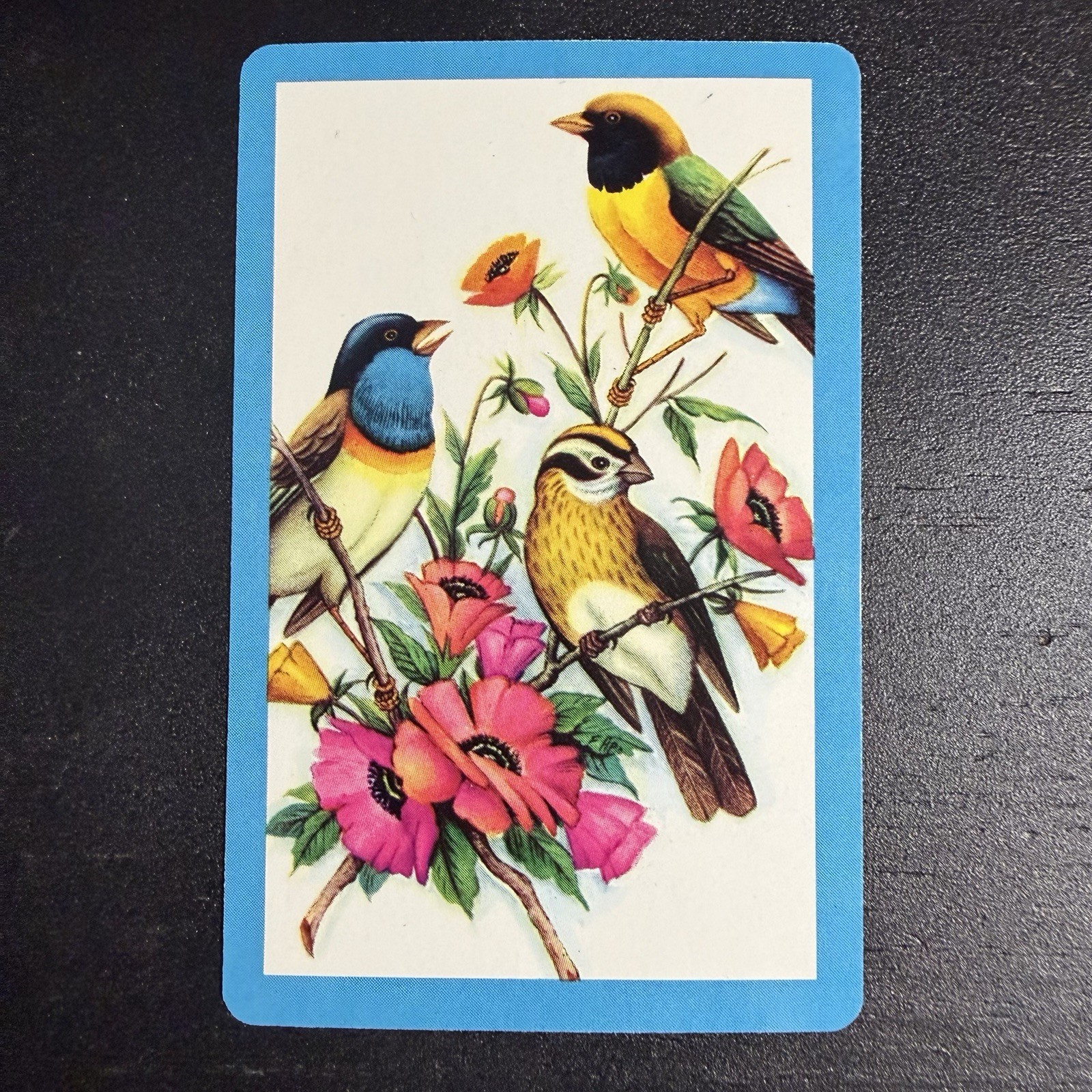 VTG Colorful Songbird Single Swap Playing Card