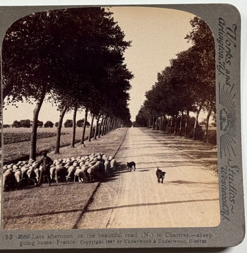 Late Afternoon on the Beautiful Road to Chartres, France, Vintage Stereoview
