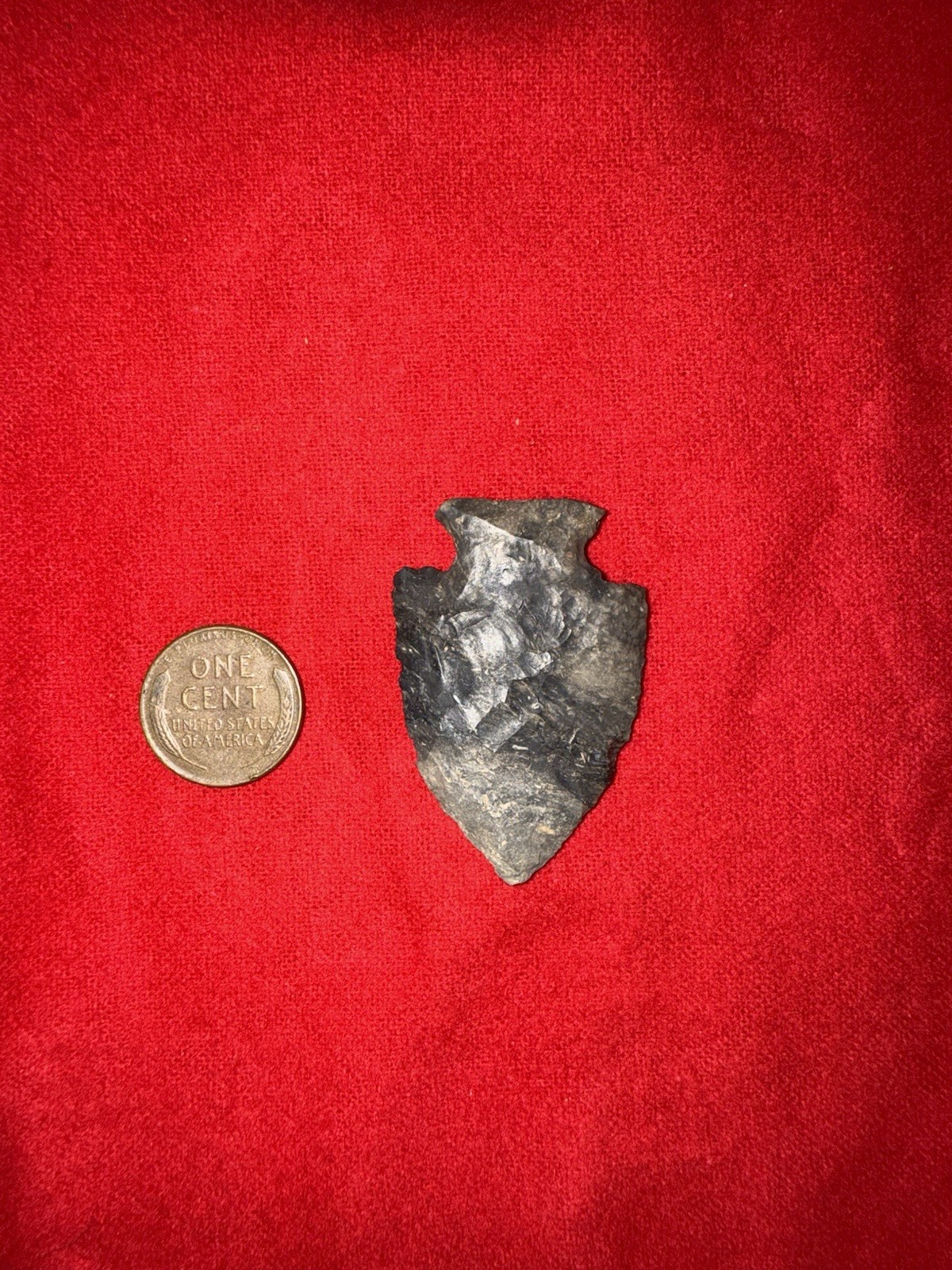 BEAUTIFUL 1 7/8” JACKS REEF POINT Found In Perry County Ohio