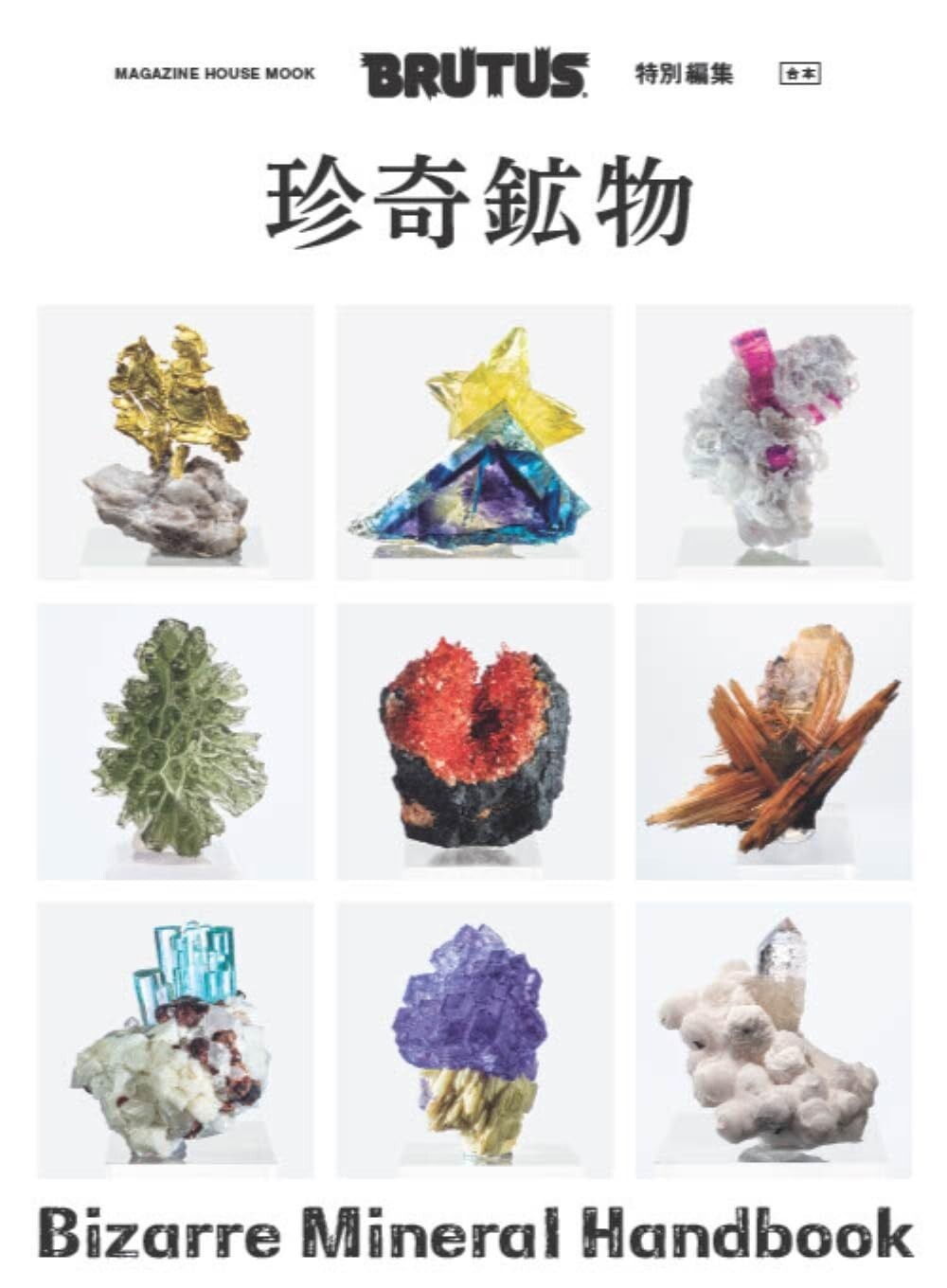Rare Bizarre Minerals  BRUTUS Special Edition Japan Magazine Combined Handbook