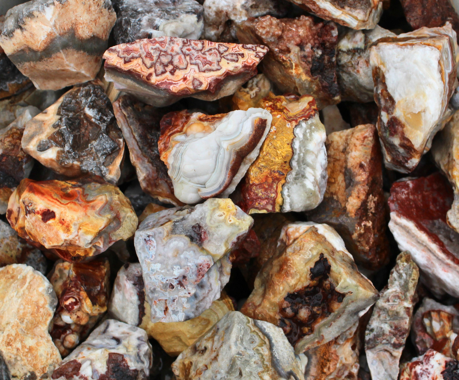 Crazy Lace Agate - Rough Rocks for Tumbling - Bulk Wholesale options