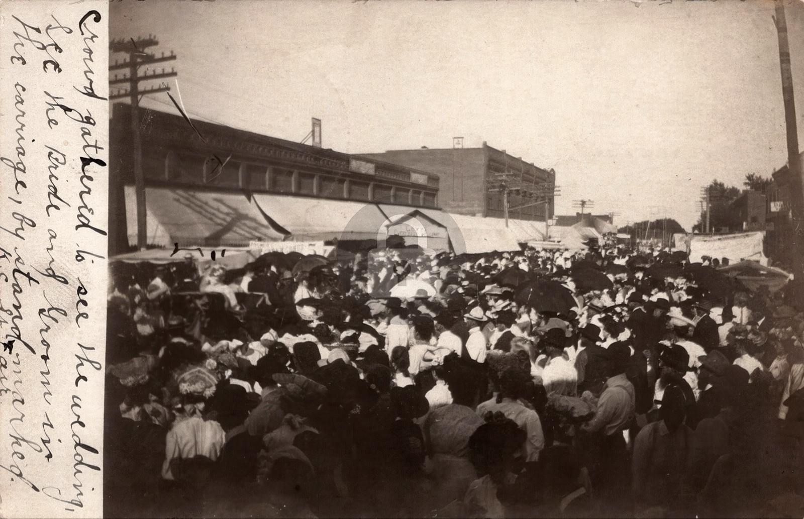 Street Wedding c1905 King City Missouri Gentry Co RPPC Photo Postcard COPY