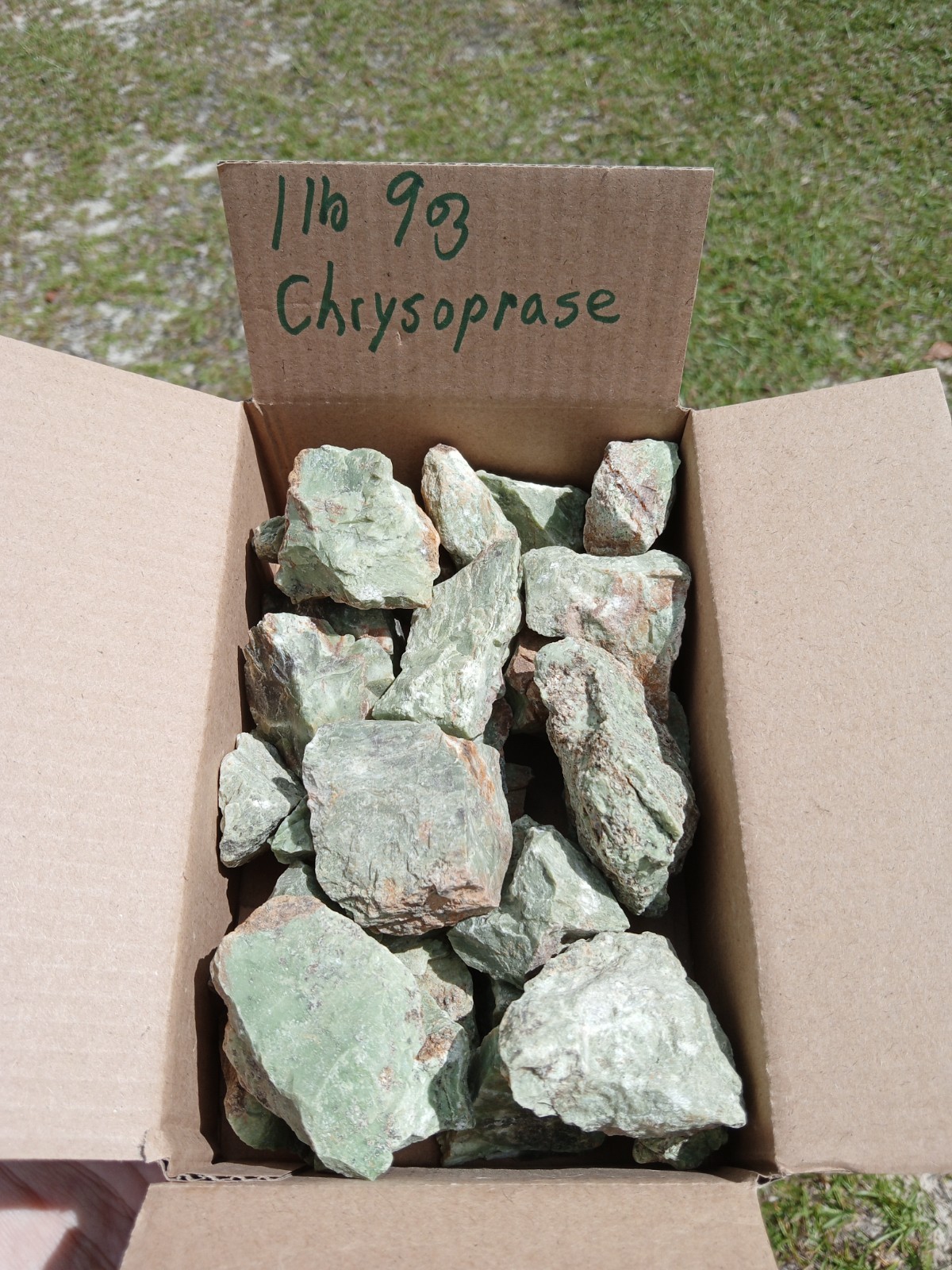 Lot of Natural Rough Chrysoprase Specimens Crystal Healing. Over 1.5 Lbs R6